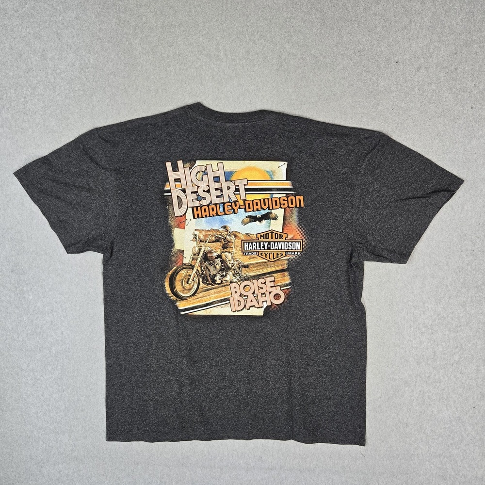 VINTAGE Harley-Davidson Men Shirt XL Gray Boise Idaho Eagle Biker Y2K